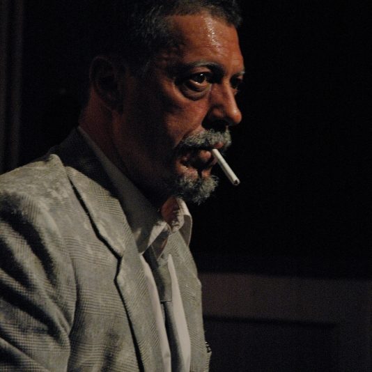 Ramón Langa. Don Quijote en la Niebla