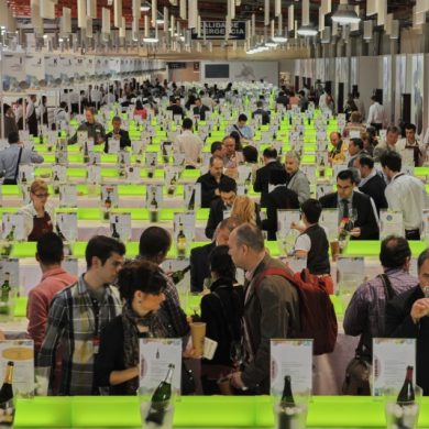 Galeria del vino en 2011